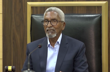 Somalia’s Speaker of the Upper House Reflects on 2023 Achievements