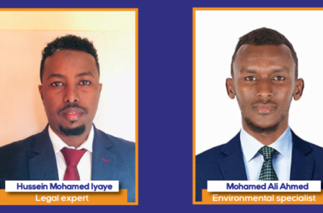 Conserving Mogadishu’s Historic Trees: A Path to Environmental and Cultural Preservation