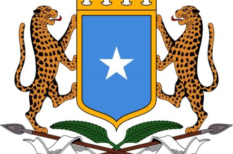 Somalia launches regional Programme to combat Human Smuggling and Strengthen Border Security