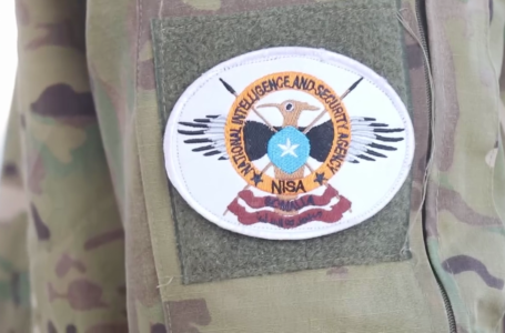 NISA releases footage of operation that killed two Al-Shabaab Commanders