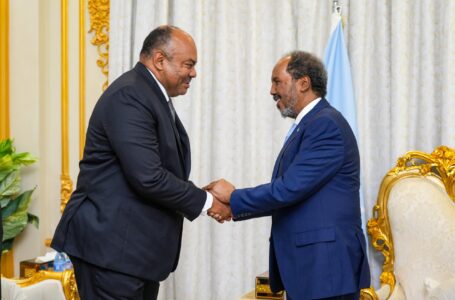 Bridging the Gap: Somalia and Tanzania’s Reimagined Collaboration.