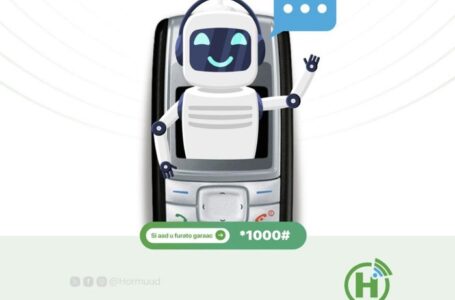 Hormuud’s New AI Assistant ‘Caaqil’ is Changing the Way Somalis Access Information