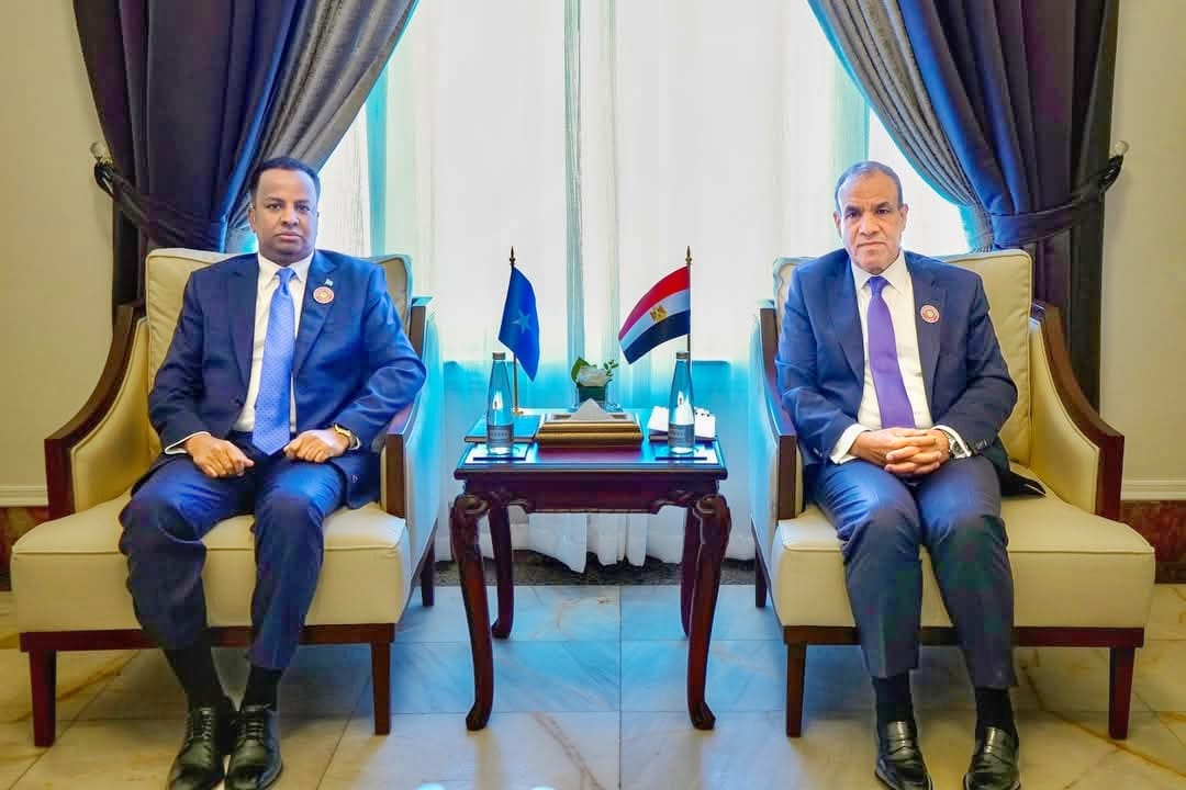 Somalia and Egypt Explore Closer Ties Ahead of Arab Summit - Mustaqbal ...