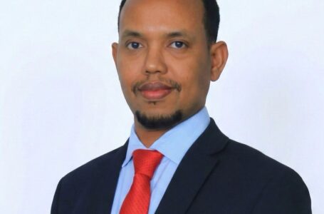 Why the Somali Diaspora Should Keep Faith in Somalia’s Future?