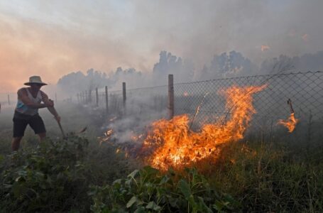 Algeria arrests 4 people over deadly wave of forest fires