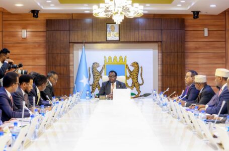 Somalia’s Federal Cabinet Approves Judicial Appointments, Key Bills and Aviation Deal with Oman