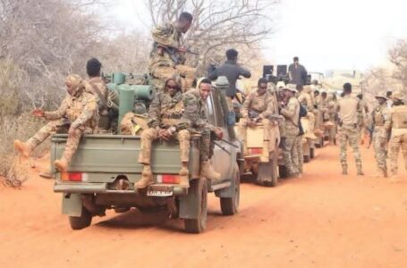Macawisley and AS clash escalates in Hiran as Federal Troops join in Hiran Region