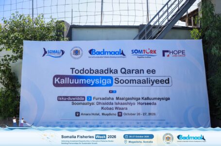 Somalia launches Fisheries Week 2026 to boost investment opportunities