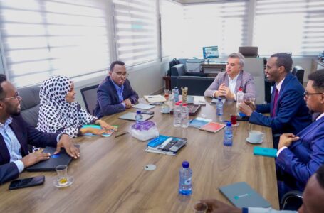 Somalia Auditor General reviews revenue management and audit compliance at Mogadishu Port