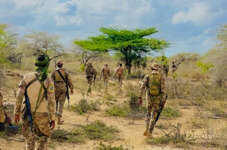Dowladda Soomaaliya ayaa shaacisay in ay howlgallo Militeri ka billaawday  Koofur Galbeed