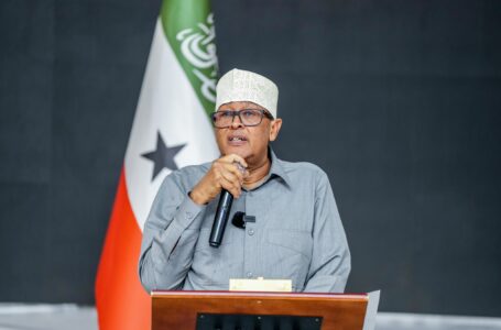 Cirro oo qiray in Nidaamka E-visa culeys ku yahay deegaannada Maamulkiisa