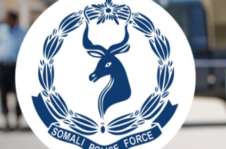 DFS oo Ciidan Booliis ah gaysay Degmada Ceeldheer ee Gobolka Galgaduud