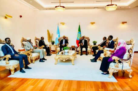 Xildhibaan Ayuub Ismaaciil “Xikmad iyo Xeelad Diblamaasiyadeed ayaan Xalka ku Gaadhnay”