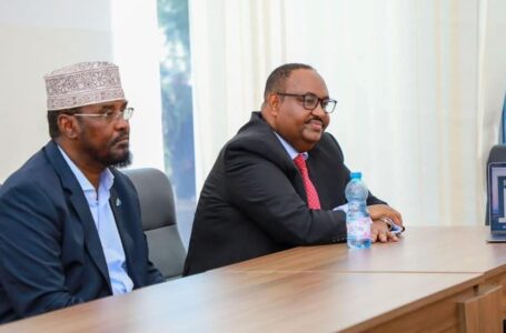Puntland & Jubbaland oo isku khilaafay ka qeyb galka gogosha Madaxweyne Xasan Sheekh uu ku baaqay  