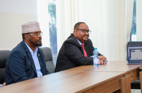 Wufuud hordhac u ah Madaxda Dowlad-Goboleedyada Puntland & Jubbaland oo Muqdisho kusoo wajahan