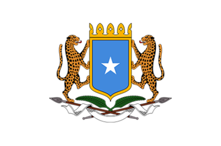 DFS oo dib u celisay Ciidankii hubaysnaa ee Siciid Deni & Axmed Madoobe iska soo hormariyeen