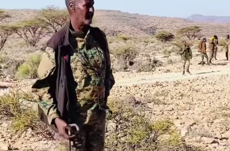 Taliyihii howlgelinta Ciidanka Puntland ee Calmiskaad oo qarax miino ku dhintay