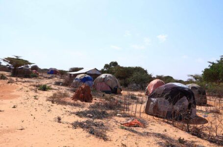 Qoysas horleh oo Abaar darteed uga barakacay DG Jubbaland