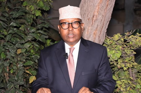Wasiirka Gaashaandhigga Soomaaliya oo sheegay in howlgallada ka dhanka ah ‘AS’ lagu dilay ku dhawaad 150 xubnood”