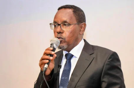 Wasiirkii hore ee Maaliyadda Puntland oo Difaacay go’aanka DFS ay mushaarka ugu qortay ciidamo jooga deegaannada Dowlad-Goboleedkaas