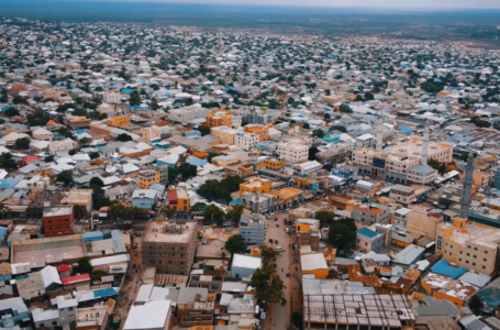 Ciidamada DF & Daraawiishta Koofur Galbeed oo Baydhabo ka wada howlgallo lagu sugayo Amniga