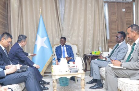 Maxay ka wada hadleen Wasiirka Amniga XFS iyo Safiirka Shiinaha?