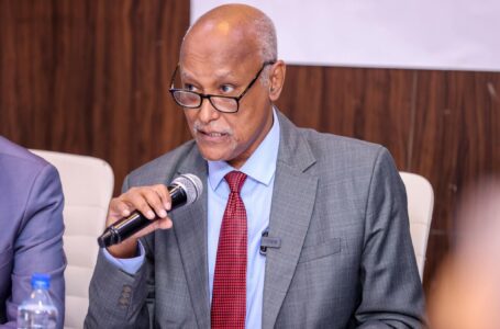 Maxay Soomaaliya ka faa’iiday kuraasta Golaha Ammaanka QM iyo Midowga Afrika?