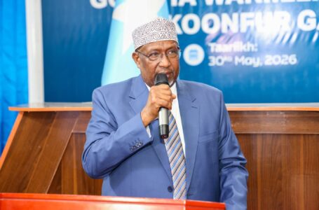 Aadan Madoobe oo loo doortay Hoggaamiyaha Koofur Galbeed