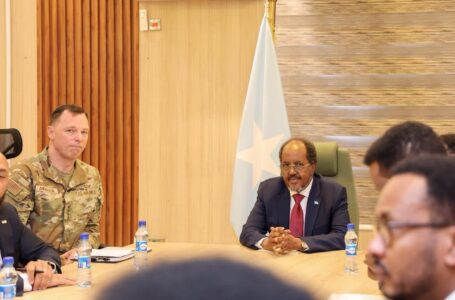 Maxay ka wada hadleen MW Xasan Sheekh iyo Taliyaha Ciidamada Mareykanka ee Afrika?
