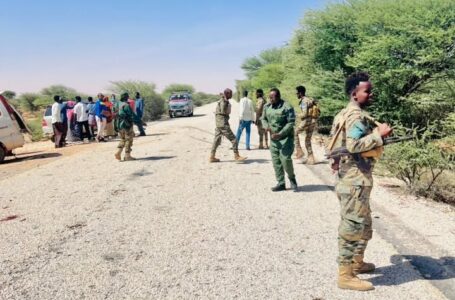 Booliiska Qardho oo sheegay in ay xirayaan Dadka ka ganacsada & kuwa isticmaalla Maandooriya