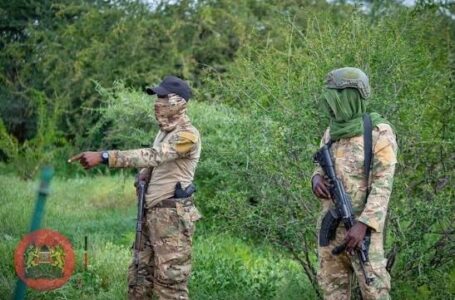 Kenya oo sheegtay in ay kahor tagaysa weerarrada ‘AS’