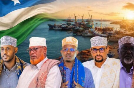 Isimada Gobolka Bari oo dalbaday in baaris Madaxbannaan lagu sameeyo shaqada Shirkadda DP World