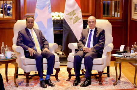 Masar iyo Soomaaliya oo ka wada hadlay arrimo la xiriira amniga iyo dagaalka AS