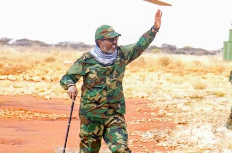 Xasan Sheekh oo safar dhanka dhulka ah ku maraya dhowr magaalo oo ka tirsan Galmudug