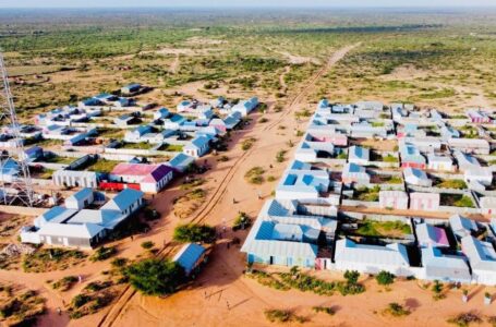 Xoolo dhaqato ku nool Ruunirgood oo la sheegay in ay dishay xubin katirsan ‘AS’