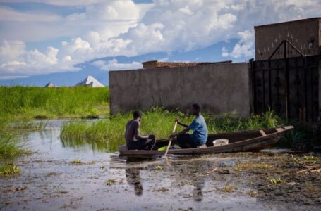 Hay’adda IOM oo dalbatay lacag ay ku maarayso dhibaatada ka dhalata Musiibada El-Nino