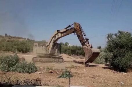 Israa’iil oo howlgallo lagu xaalufinayo Geedka Saytuunka ah ka billowday Daanta Galbeed