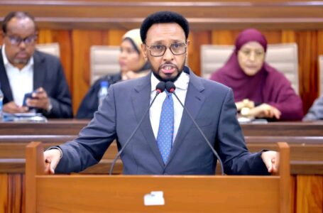 DFS oo dib u dayactir ku sameynaysa Buundada Baardheere