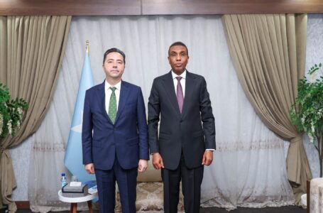 RW Xamsa oo Turkiga uga mahadceliyay dib u dhiska Ciidamada Qalabka sida
